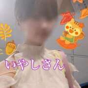 ヒメ日記 2025/09/26 13:04 投稿 いやし ドンファン