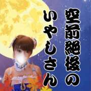 ヒメ日記 2025/09/30 06:50 投稿 いやし ドンファン