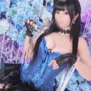 ヒメ日記 2025/10/07 07:29 投稿 いやし ドンファン