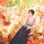 ヒメ日記 2025/10/09 12:19 投稿 いやし ドンファン