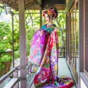 ヒメ日記 2025/10/27 10:37 投稿 いやし ドンファン