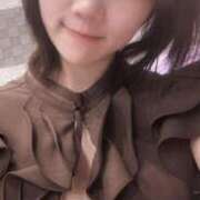 ヒメ日記 2025/11/06 06:12 投稿 いやし ドンファン