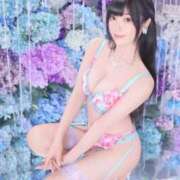 ヒメ日記 2025/11/10 08:34 投稿 いやし ドンファン