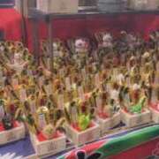 ヒメ日記 2025/11/13 12:11 投稿 いやし ドンファン