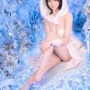 ヒメ日記 2025/11/26 06:48 投稿 いやし ドンファン