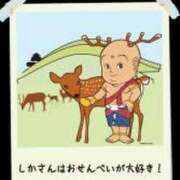 ヒメ日記 2025/12/03 11:53 投稿 いやし ドンファン