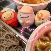 ヒメ日記 2025/12/08 05:43 投稿 いやし ドンファン