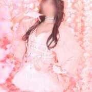 ヒメ日記 2025/12/08 08:53 投稿 いやし ドンファン