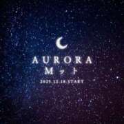 ヒメ日記 2025/12/18 08:39 投稿 いやし ドンファン