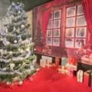 ヒメ日記 2025/12/23 11:10 投稿 いやし ドンファン