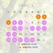 ヒメ日記 2025/12/25 06:58 投稿 いやし ドンファン