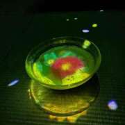 ヒメ日記 2026/01/25 19:07 投稿 いやし ドンファン