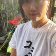 ヒメ日記 2026/02/03 10:53 投稿 いやし ドンファン