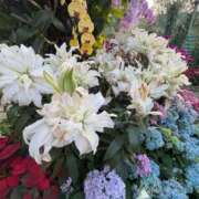 ヒメ日記 2026/02/05 11:34 投稿 いやし ドンファン