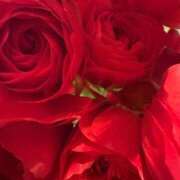 ヒメ日記 2026/02/10 07:20 投稿 いやし ドンファン