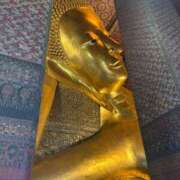 ヒメ日記 2026/02/17 10:44 投稿 いやし ドンファン