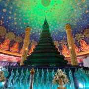 ヒメ日記 2026/02/24 10:14 投稿 いやし ドンファン