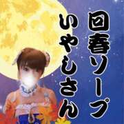ヒメ日記 2026/02/24 10:38 投稿 いやし ドンファン