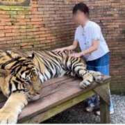 ヒメ日記 2026/02/24 15:56 投稿 いやし ドンファン