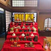 ヒメ日記 2026/03/03 05:54 投稿 いやし ドンファン