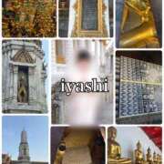 ヒメ日記 2026/03/16 12:27 投稿 いやし ドンファン