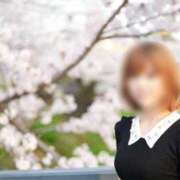 ヒメ日記 2026/03/22 14:34 投稿 いやし ドンファン