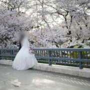 ヒメ日記 2026/03/22 20:35 投稿 いやし ドンファン