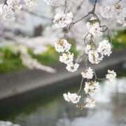 ヒメ日記 2026/03/22 22:15 投稿 いやし ドンファン