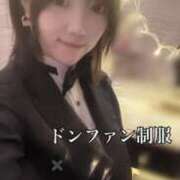 ヒメ日記 2026/03/23 15:09 投稿 いやし ドンファン