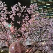 ヒメ日記 2026/03/27 14:58 投稿 いやし ドンファン