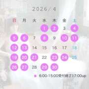 ヒメ日記 2026/03/29 19:35 投稿 いやし ドンファン
