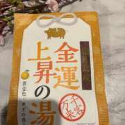 ヒメ日記 2026/04/07 20:43 投稿 いやし ドンファン