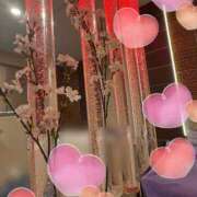 ヒメ日記 2026/04/08 18:28 投稿 いやし ドンファン