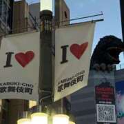 ヒメ日記 2026/04/19 12:08 投稿 いやし ドンファン