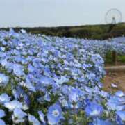 ヒメ日記 2026/04/24 06:41 投稿 いやし ドンファン