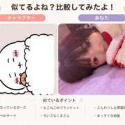 ヒメ日記 2026/05/11 05:50 投稿 いやし ドンファン