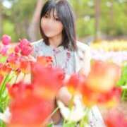 ヒメ日記 2026/06/04 07:06 投稿 いやし ドンファン