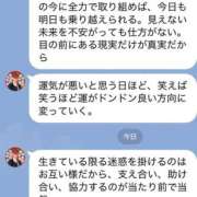 ヒメ日記 2026/06/24 08:55 投稿 いやし ドンファン