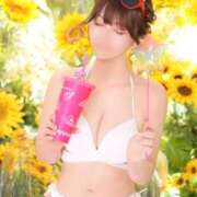 ヒメ日記 2026/07/23 08:49 投稿 いやし ドンファン
