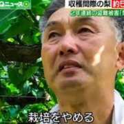 ヒメ日記 2026/07/25 12:54 投稿 いやし ドンファン