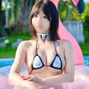 ヒメ日記 2026/08/20 12:38 投稿 いやし ドンファン