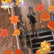 ヒメ日記 2026/09/19 06:26 投稿 いやし ドンファン
