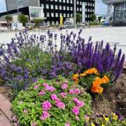 ヒメ日記 2025/07/05 13:45 投稿 せつな 丸妻 横浜本店