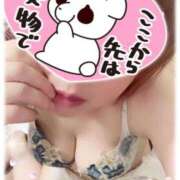 ヒメ日記 2025/10/12 15:08 投稿 くろせ 丸妻 厚木店