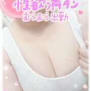 ヒメ日記 2026/02/26 12:51 投稿 くろせ 丸妻 厚木店