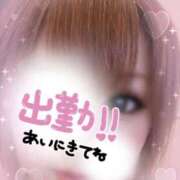 ヒメ日記 2026/03/31 10:18 投稿 くろせ 丸妻 厚木店