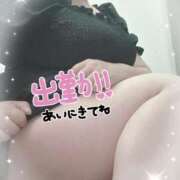 くろせ 出勤しました！ 丸妻 厚木店