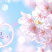 ヒメ日記 2025/05/26 11:23 投稿 さくら 横浜しこたまクリニック