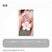 ヒメ日記 2025/07/08 09:03 投稿 さくら 横浜しこたまクリニック