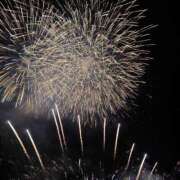 ヒメ日記 2025/08/21 11:13 投稿 さくら 横浜しこたまクリニック